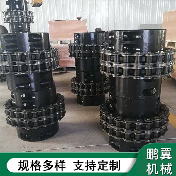 廣東加緊式鏈條聯(lián)軸器