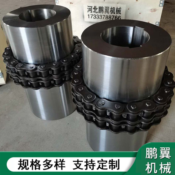 浙江鏈條聯(lián)軸器